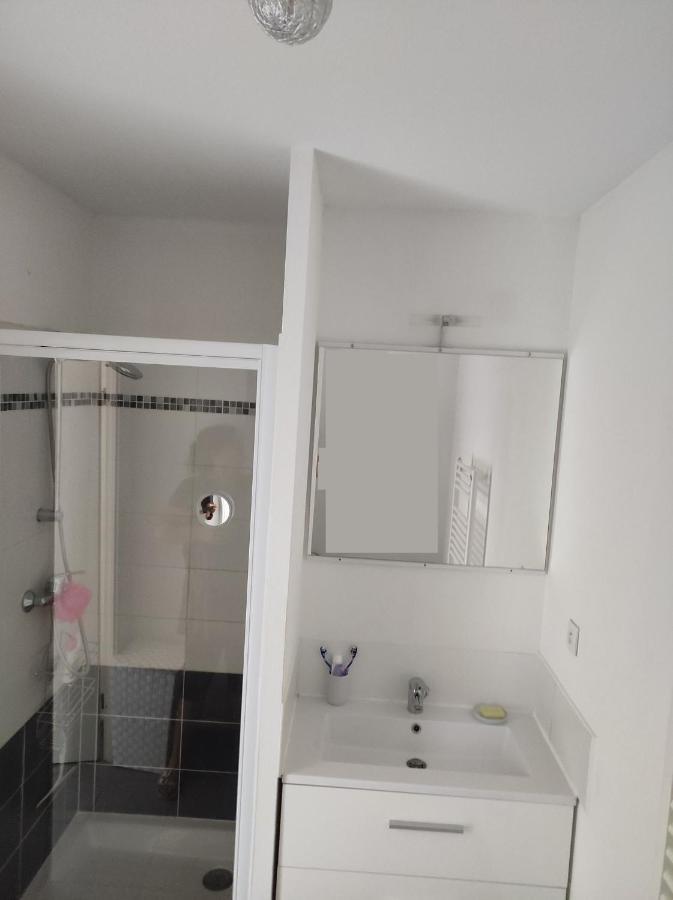 Superbe appartement en rez-de-jardin à LANTON Extérieur photo